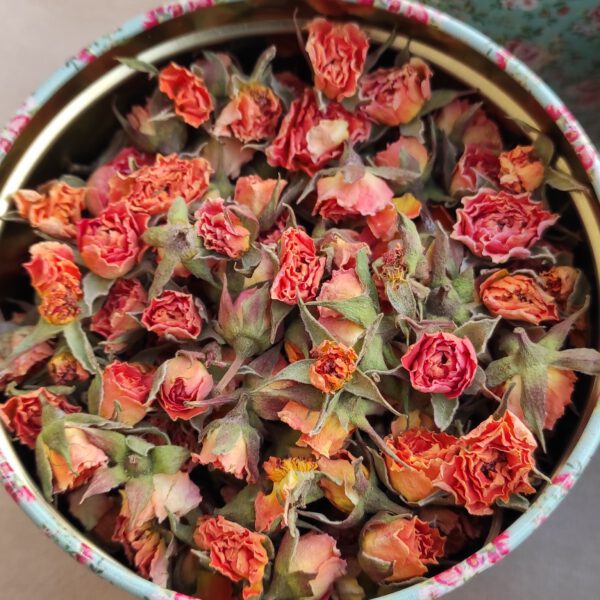 گل ساناز (نارنجی)