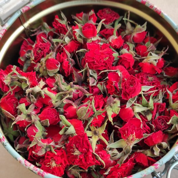 گل ساناز (قرمز)
